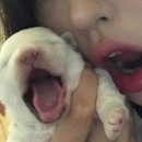 또요거트 | 왜 6월 끝남?