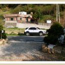 장미 민박 이미지