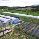 김일농장 이미지