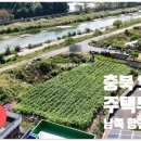 보은공인중개사사무소 이미지