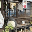 「남(男)다른 그 신사의 하루」 | 후쿠오카 여행 후기 유후인 버스투어 점심 맛집 추천