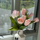 상림목장 이미지