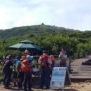 펜션화수목 이미지