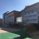 보라중학교 이미지