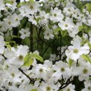 늘숲 - 남구 삼산로278번길 14 | 늘숲