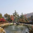 덕평공룡수목원 티스토리