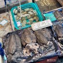 동부(수산물)시장 | [ 목포 ] 전라도 여행 코스 목포 가볼만한 곳 상설시장 동부시장 방문 후기