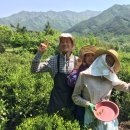 뷰티풀라이프 이미지