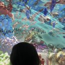 무주곤충박물관 | 무주 아이와 여행 반디랜드 곤충박물관