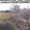 스위트원모텔