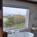 스테이마레 이미지