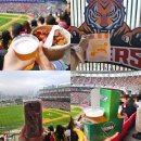 기아짐 | 광주 기아챔피언스필드 먹거리 추천l고강정, 주디마리, 창억떡, 테라 맛 후기 등