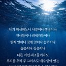 팔이팔