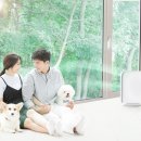 갈매동물병원 이미지