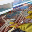 1번수산 이미지