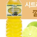 태양팜스