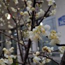 양산호수공원 이미지