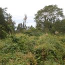 어음2리마을 이미지