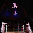 알레그리아 이미지