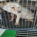 봉산중학교 이미지