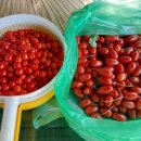 보리수미용실 이미지