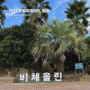 제주 한경면 가볼 만한 곳 | 카약과 카트를 동시에 즐기는 액티비티 낙원 '비체올린' 방문 후기