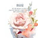 5월 18일(화) 스타다큐 마이웨이에 엄영수 편을 보고 이미지