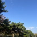 지구촌교육공동체 | [연수] 충북 2025 AI 디지털기반 단계형 교육혁신 연수 (성찰 1회차) 정리