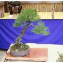 삼계원 이미지