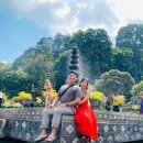 세풍농장 이미지