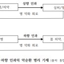 통합심신치유의 이해 이미지