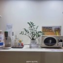 라메르 호스텔 | 부산광역시 해운대, 온돌 방이 있는 숙소 &#39;엘리시아 호텔&#39; 내 돈 내산 주말 방문 후기