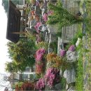 알프스관광펜션 | 강원도 여행, 화천숙소 알프스펜션에서 즐기는 특별한 쉼터 이야기