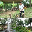 금메달 농장 이미지