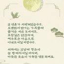 미스터트롯3 가수 농수로 이미지