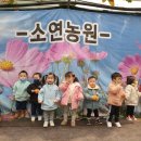 소연농원 - 거창군 진마루길 239-51 | 소연농원