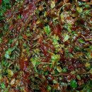 시골반찬 - 군산시 삼학8길 26 | 시골반찬