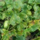 열매유치원 이미지