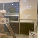 마곡 고양이 미용 호텔 이미지