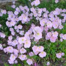 창북초교 이미지