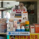 메디팜대신M약국 이미지