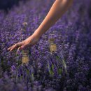 옥계북로-12 이미지