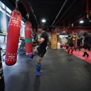 군산복싱체육관2관 | 군산복싱 고민 끝, 40대가 정착한 이유와 후기