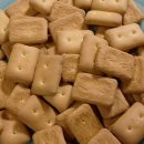 어디에서 왔니 이미지