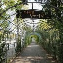 도두리길 이미지