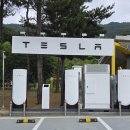 나은 강아지나라 이미지