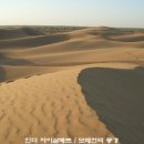 낙타게스트하우스 민박 네이버블로그