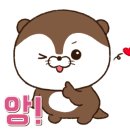 러블리독 애견카페 이미지