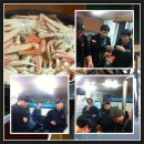 신년 해맞이 이미지