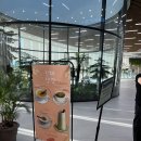 일월목장 | 일월수목원 카페 데이지원 후기(메뉴추천)